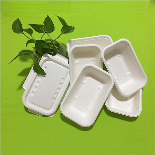 bagasse ပန်းကန်ခွက်ယောက်များ၏အကျိုးကျေးဇူးများ