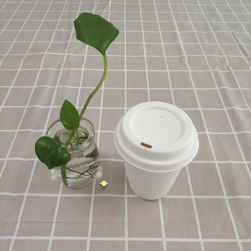 biodegradable ကြံပျော့ဖတ်ခွက်နှင့် အဖုံး