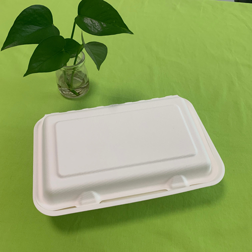 bagasse အစားအသောက်ပုံးအသစ်