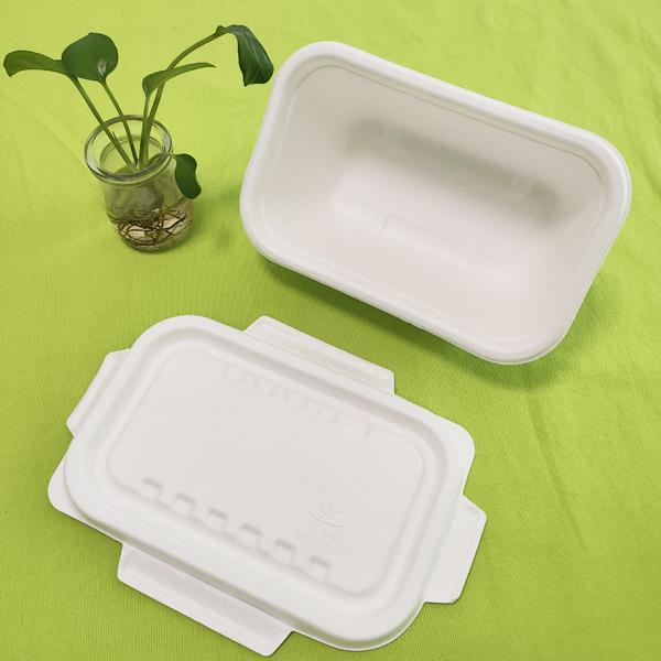 Shenglin Packaging ၏ နိုင်ငံခြားကုန်သွယ်မှုဌာနသည် အိတ်စပို့ ပန်းကန်ခွက်ယောက်များဆိုင်ရာ အသိပညာဖလှယ်သည့် ဆွေးနွေးပွဲကို ပြုလုပ်ခဲ့သည်။