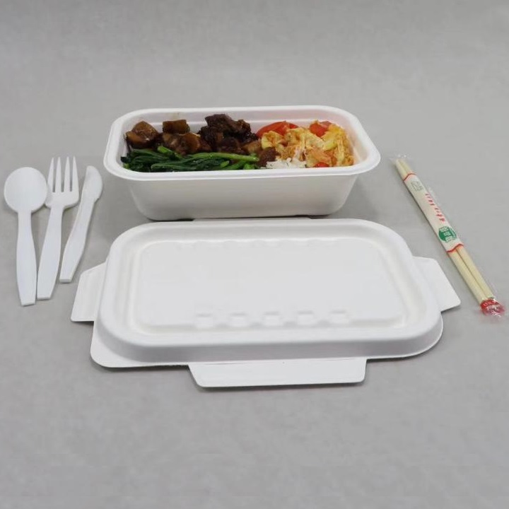 Shenglin Packaging ၏ Bagasse Tableware Case Sharing Conference