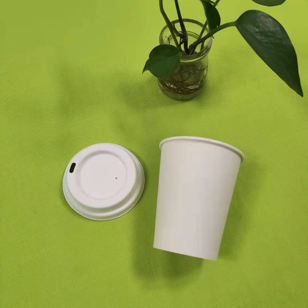 bagasse pulp ပန်းကန်ခွက်ယောက်များအကြောင်း နောက်ထပ်အချက်အလက်များ