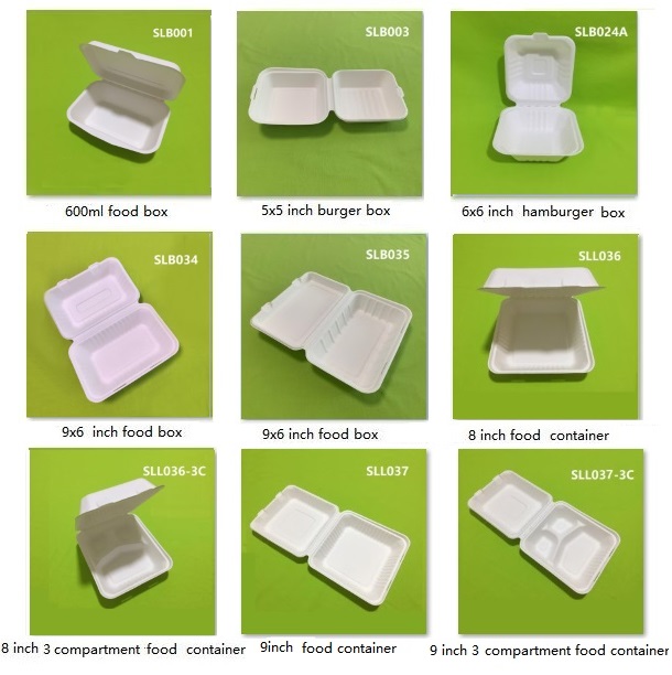 eco bagasse စက္ကူ clamshell သေတ္တာများ