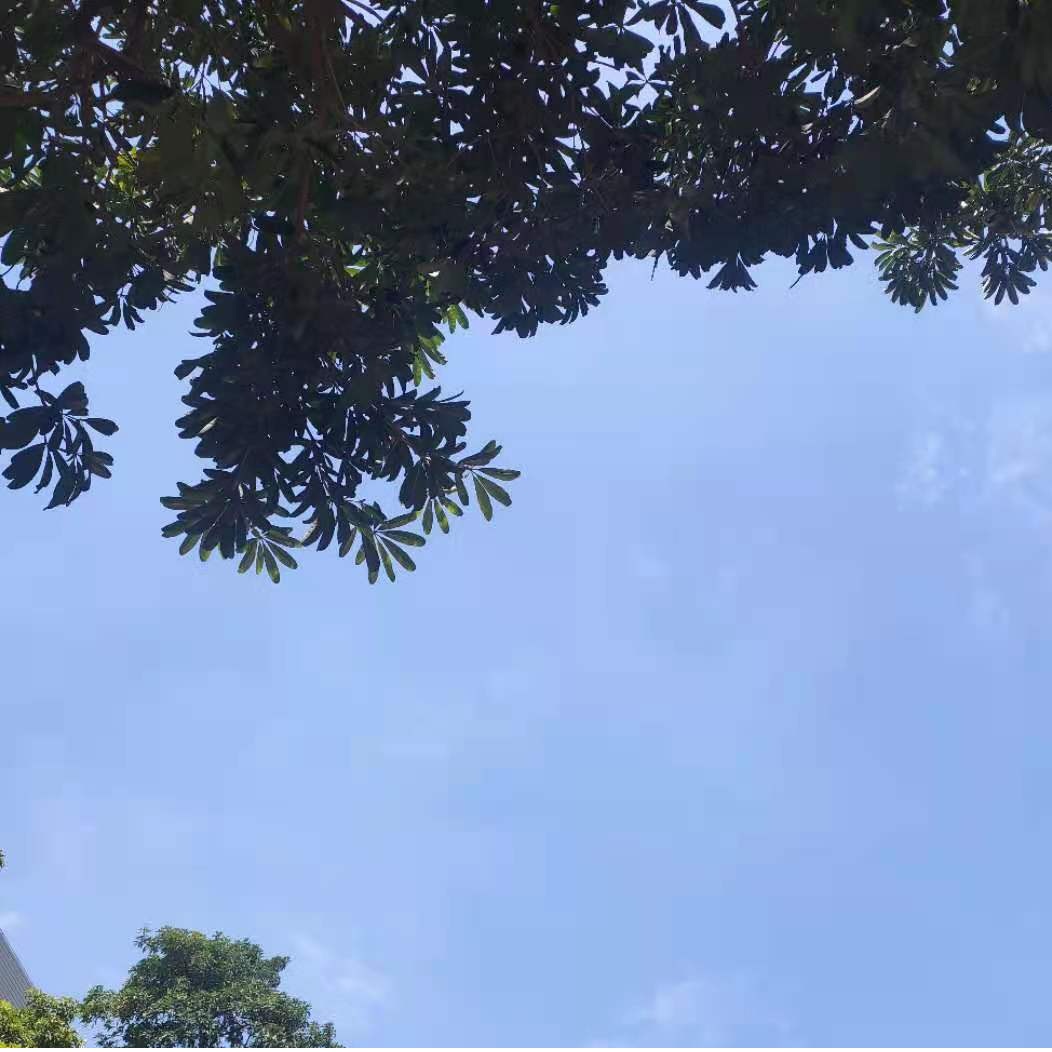 ကမ္ဘာ့မြေနေ့