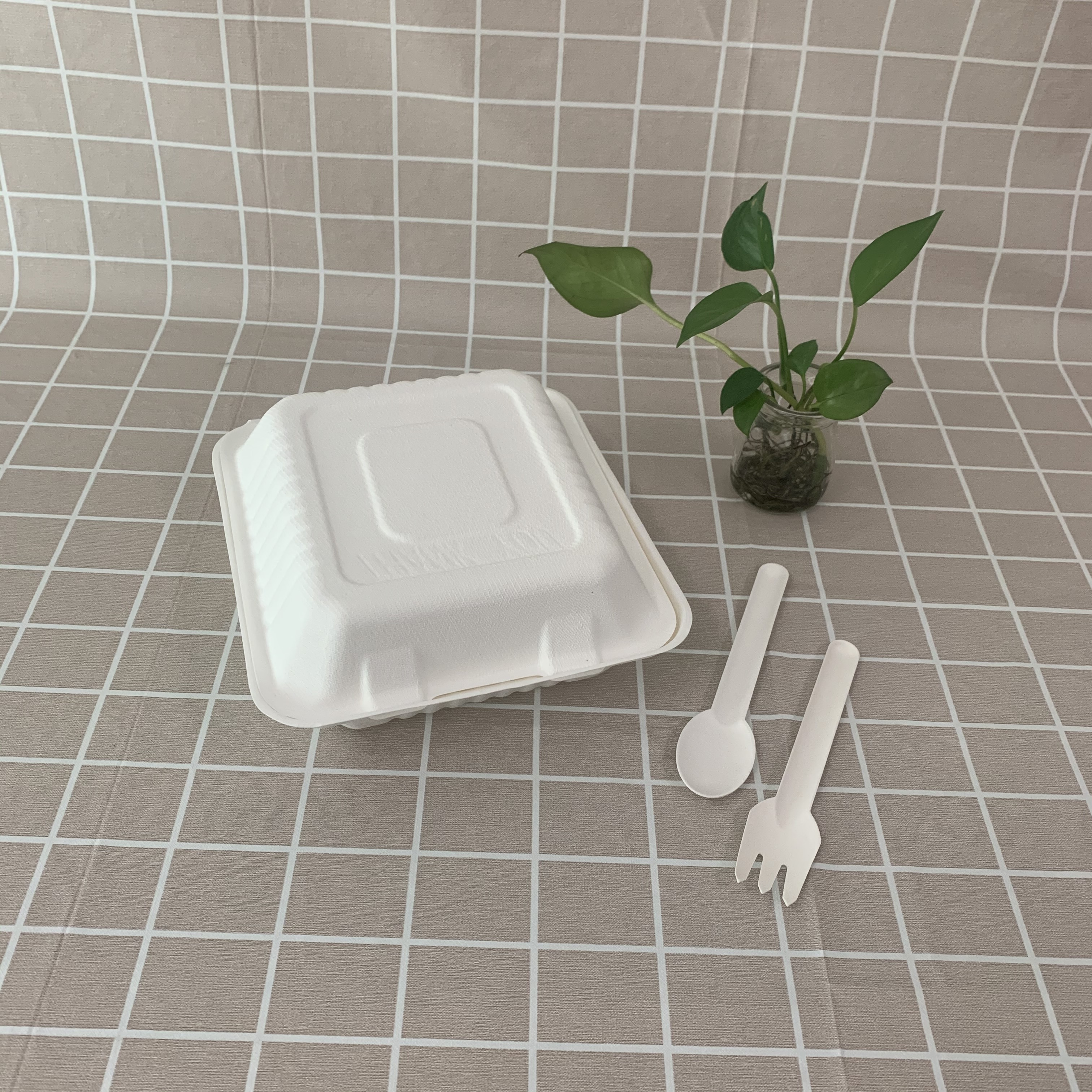 Eco bagasse အစားအသောက်ပုံးများ တင်ခြင်း။