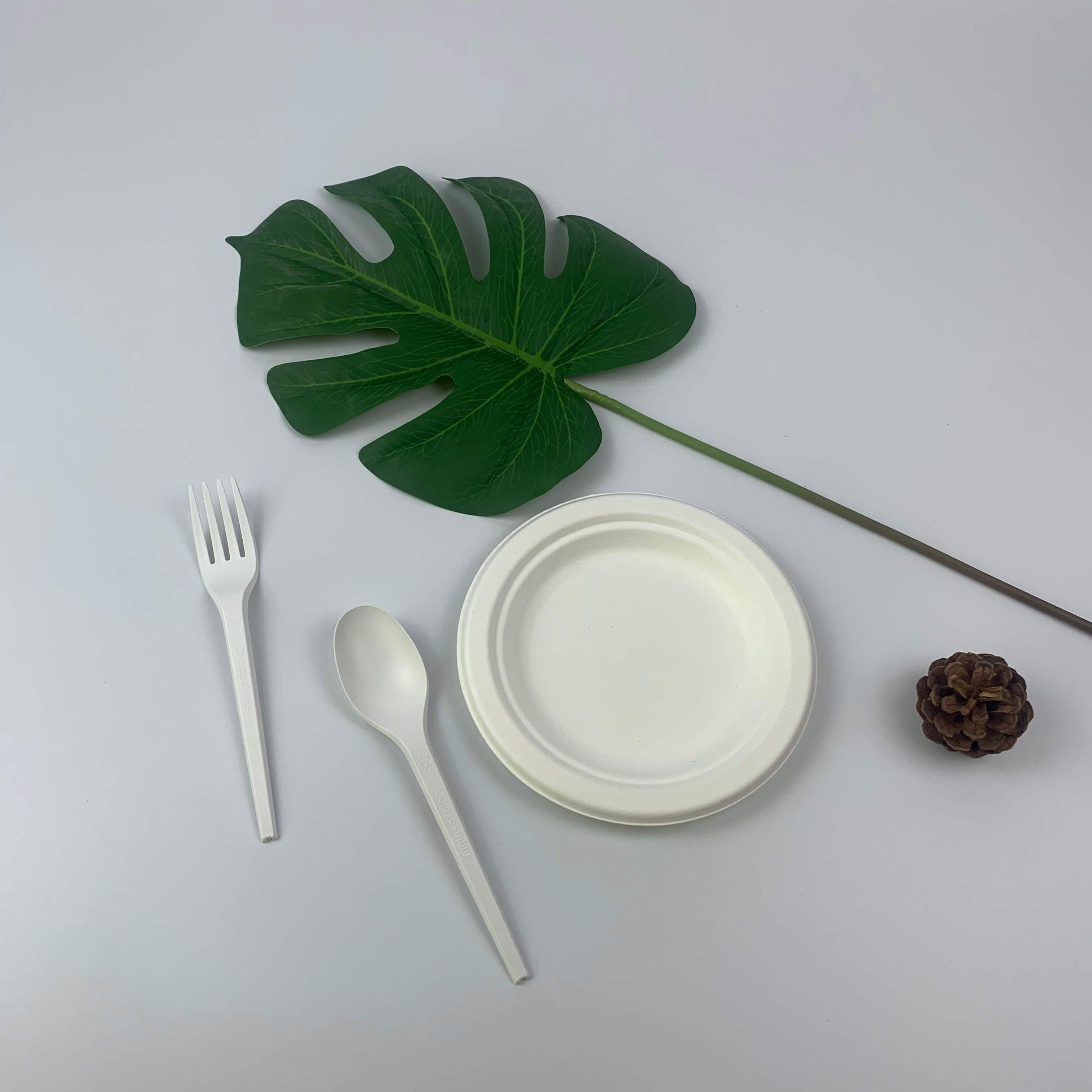 Bagasse ကို သဘာဝပတ်ဝန်းကျင်နဲ့ သဟဇာတဖြစ်မယ့် ပစ္စည်းတစ်ခုအနေနဲ့ အသုံးပြုကြပါတယ်။