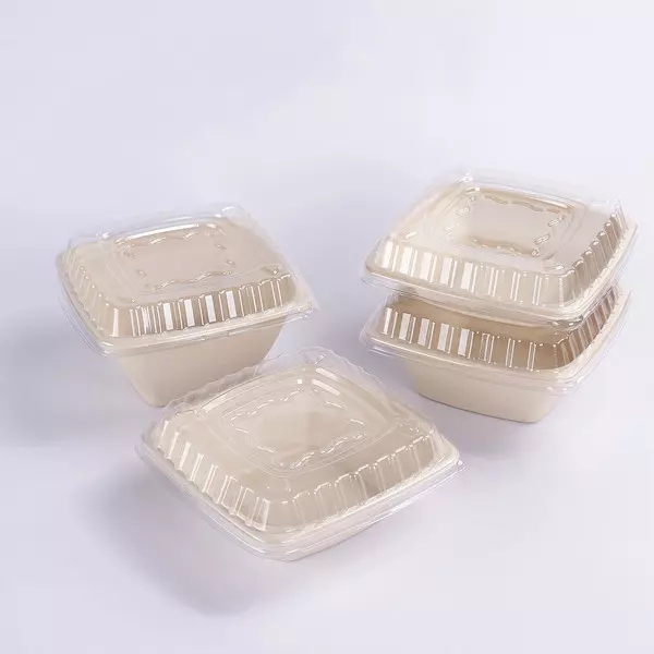Bagasse Square ပန်းကန်