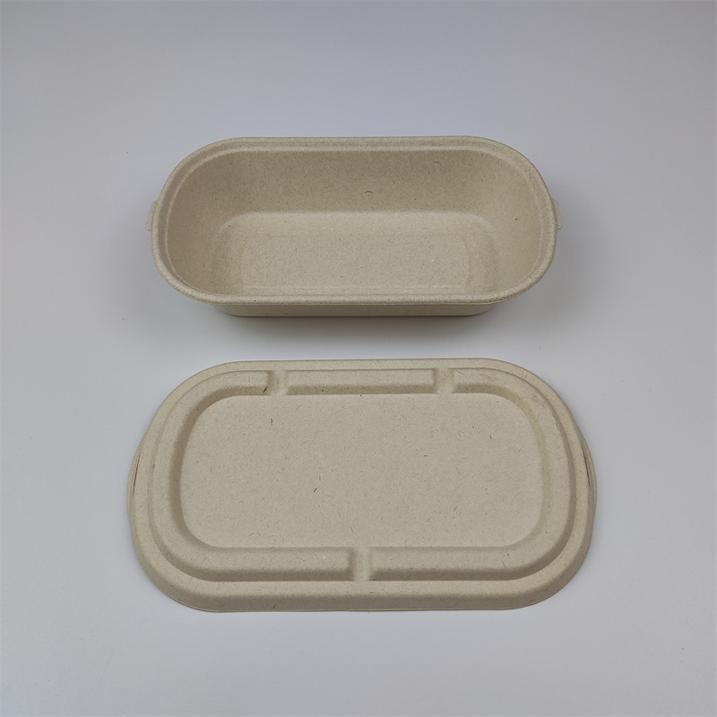 Bagasse ထုပ်ပိုးခြင်း။