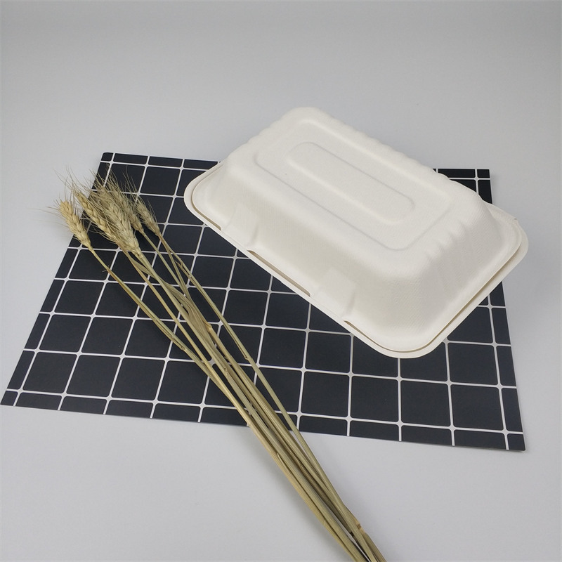 ဇီဝချေဖျက်နိုင်သော တစ်ခါသုံးကြံ Bagasse 9*6လက်မ အစားအသောက်သေတ္တာ